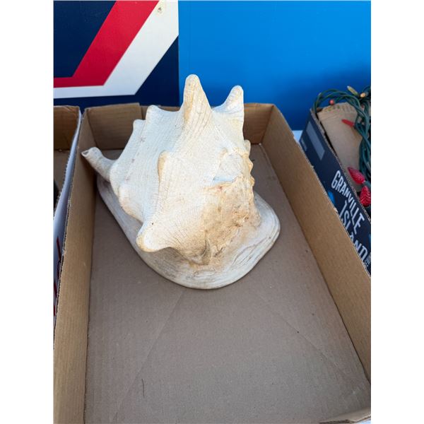 Large shell