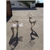 Image 1 : Deer decor