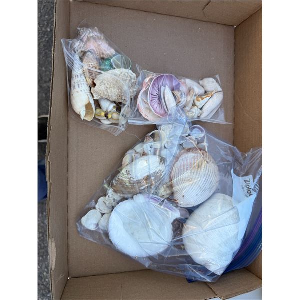 Shells