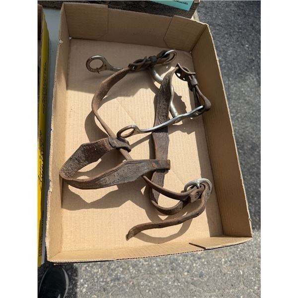 Horse items