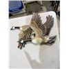 Image 1 : Geese hanging