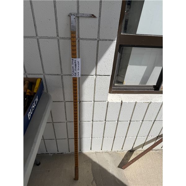 Scaling stick for timber scale
