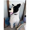 Image 1 : Guard dog