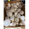 Image 1 : LED bulbs
