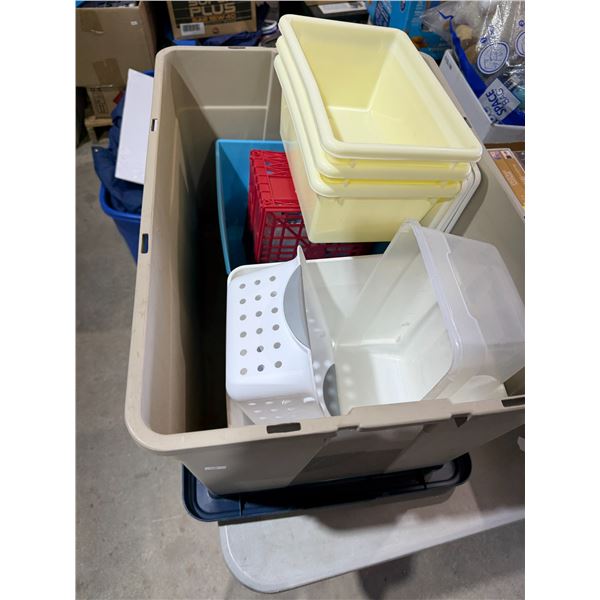 Been with lid and other organizing containers