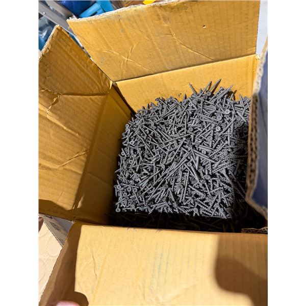Drywall screws