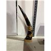 Image 1 : Carved  horn