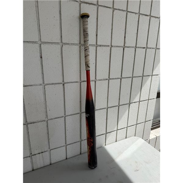 Miken NRG Softball bat