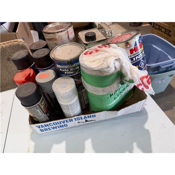 Assorted garage fluids