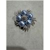 Image 1 : Brooche