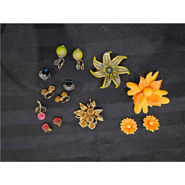 Pins and clip on earrings