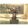 Image 1 : "ELK" BUST BRONZE SCULPTURE MOIGNIEZ