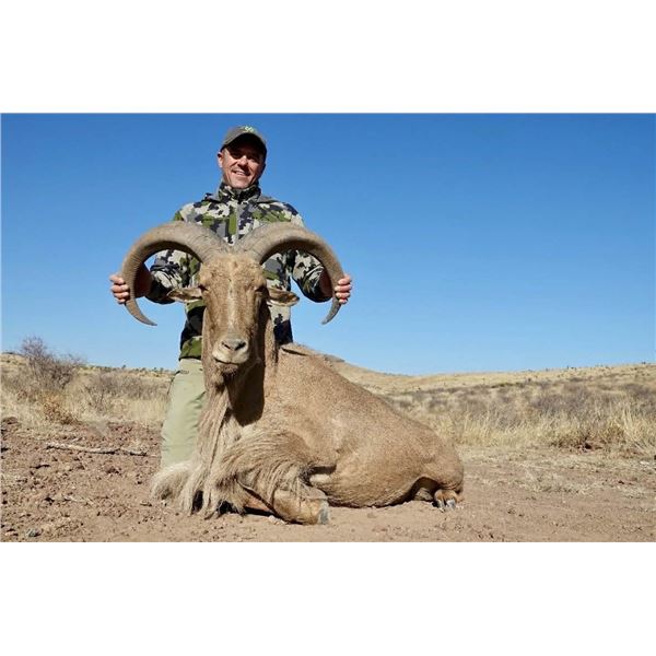 Valiant Ranch- 3 Day/ 2 Night Aoudad Hunt for 1 Hunter