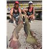Image 1 : 2 Day Alligator Gar Bow Fishing Trip for 1 Angler with Mark Malfa!