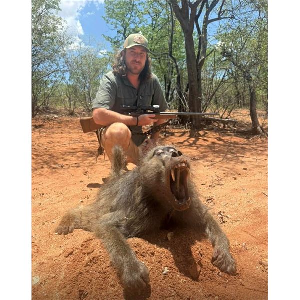 Vintage Safaris- Plains Game Hunt in South Africa for 1 Hunter & 1 Non- Hunter