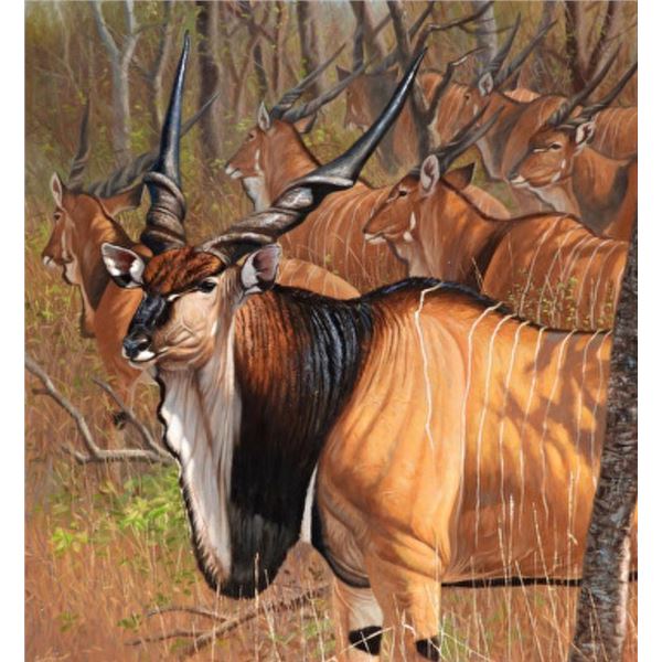 Safari Club International Print of the Year 2026