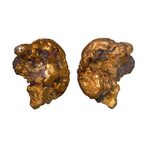 Small gold nugget, 0.53 gram, NGC / SS Central America (California Gold Rush Nugget Label).