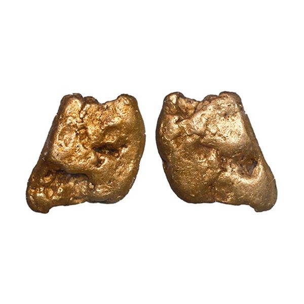 Small gold nugget, 0.54 gram, NGC / SS Central America (California Gold Rush Nugget Label).