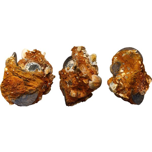 VARIOUS COUNTRIES, clump of one Mexican cob and two English shillings plus three lead musketballs.