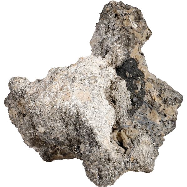 MEXICO, Mexico City, clump of two cob 1R or 2R in large mass of coral.