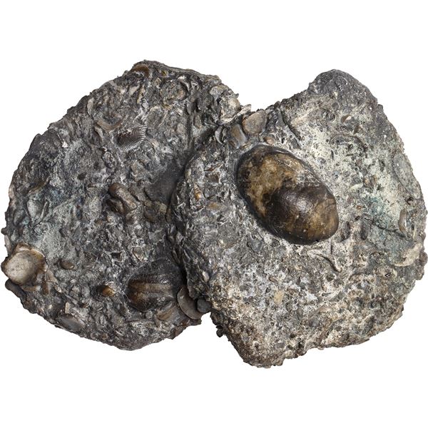 SPANISH COLONIAL, mints uncertain, clump of two cob 8 reales "biscuits," kings not visible, assayers