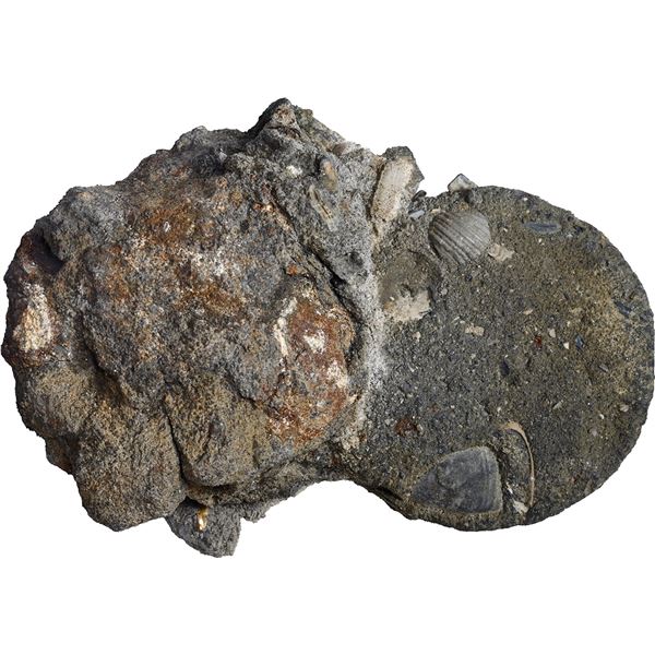 NETHERLANDS, mints uncertain, clump of two ducatoon "biscuits," dates not visible, with much encrust