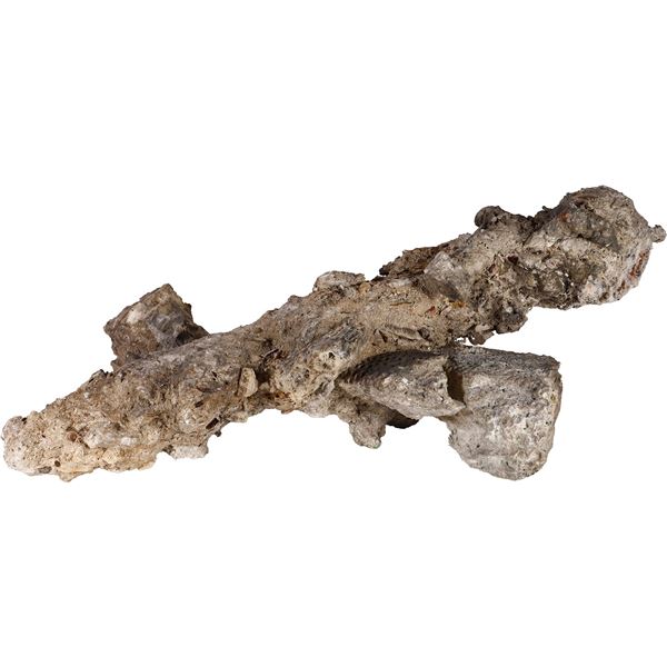 Heavily encrusted iron spike, ex-Guadalupe and Tolosa (1724).