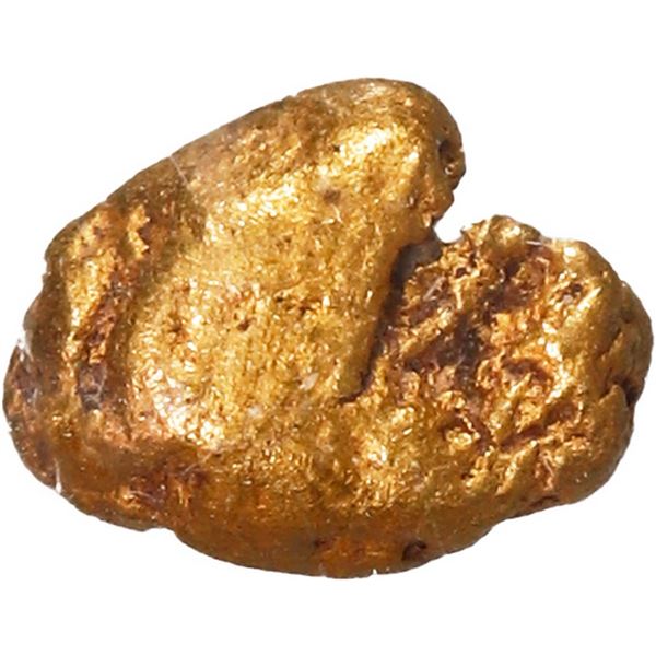 Small gold nugget, 0.46 gram, NGC / SS Central America (California Gold Rush Nugget Label).