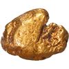 Image 1 : Small gold nugget, 0.46 gram, NGC / SS Central America (California Gold Rush Nugget Label).