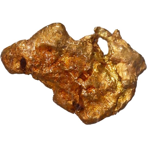 Small gold nugget, 0.46 gram, NGC / SS Central America (California Gold Rush Nugget Label).