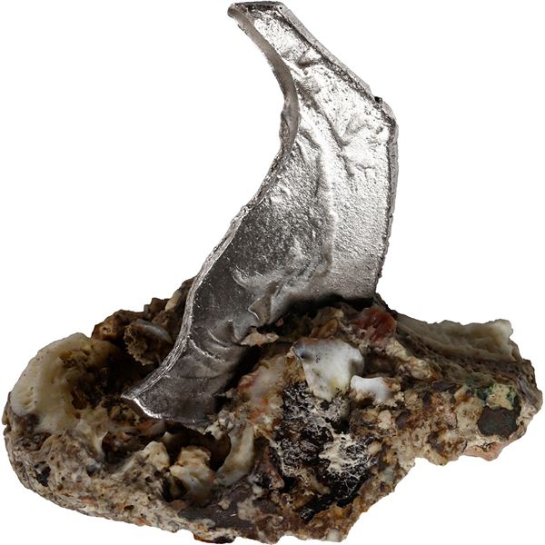 MEXICO, Mexico City, clump of one cob 8 reales fragment in small chunk of coral, Philip IV, assayer 