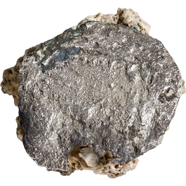 MEXICO, Mexico City, clump of one cob 8 reales (corroded) in mass of coral, Philip IV, assayer not v