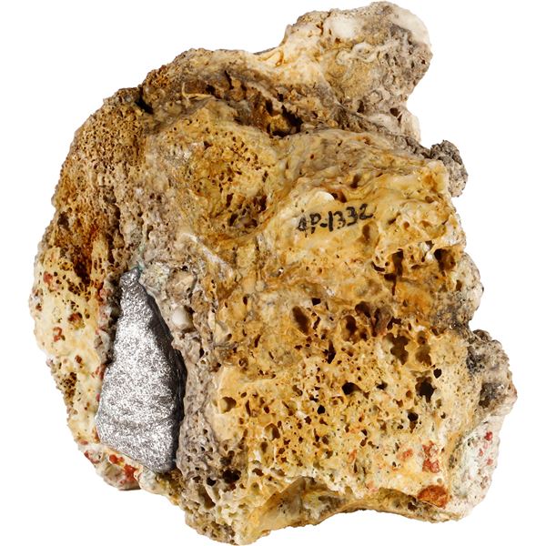 SPANISH COLONIAL, mint uncertain, clump of one cob 8 reales in large mass of coral.