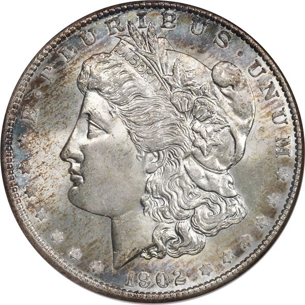 UNITED STATES, New Orleans mint, Morgan dollar, 1902-O, ANACS MS 64, ex-Busto.
