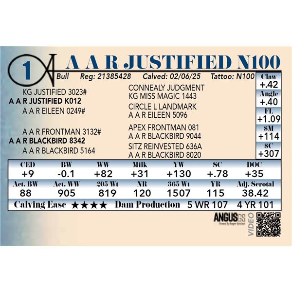 A A R Justified N100