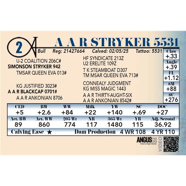 A A R Stryker 5531