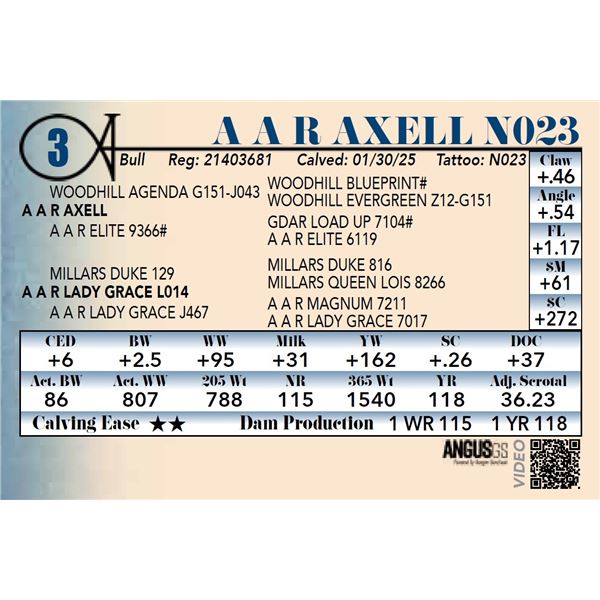 A A R Axell N023