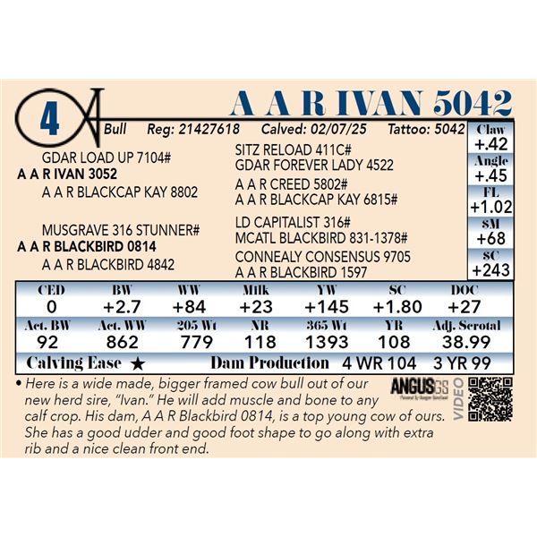 A A R Ivan 5042