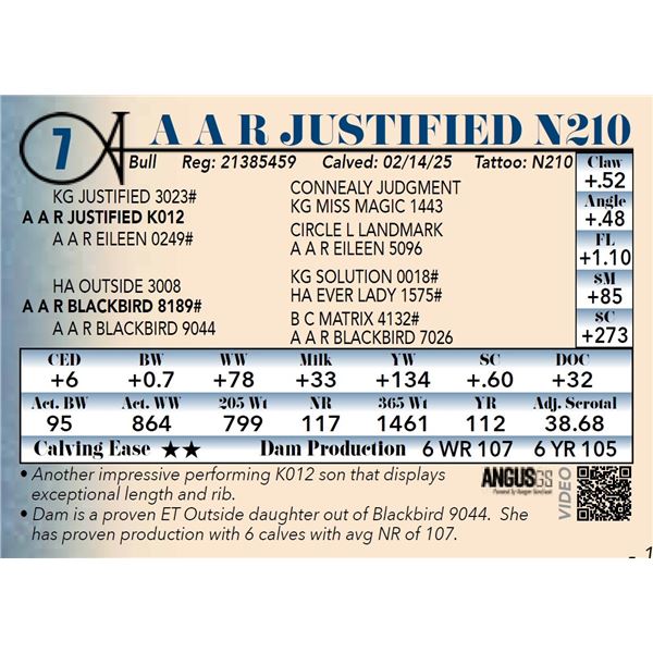 A A R Justified N210