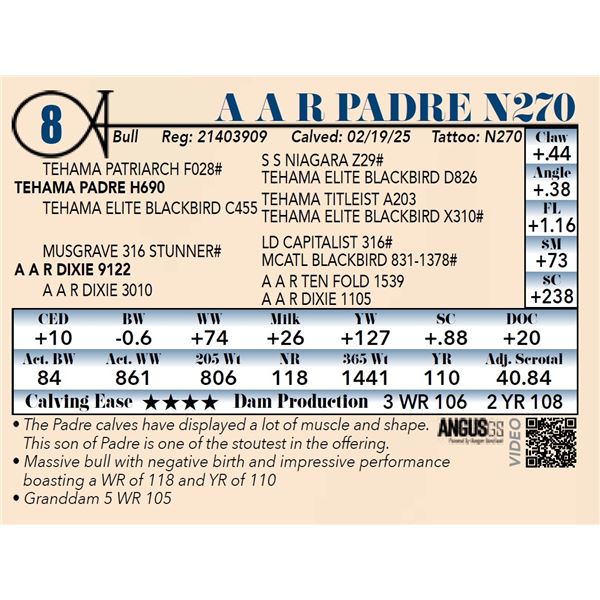 A A R Padre N270