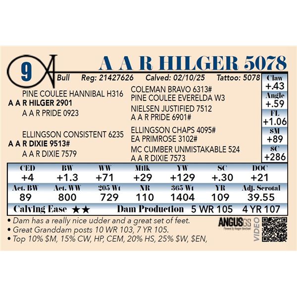 A A R Hilger 5078
