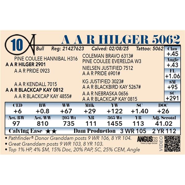 A A R Hilger 5062