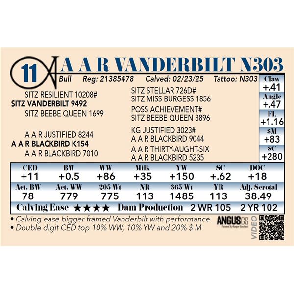 A A R Vanderbilt N303