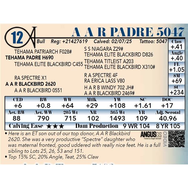 A A R Padre 5047