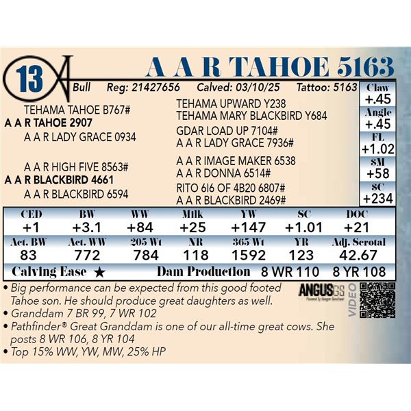 A A R Tahoe 5163