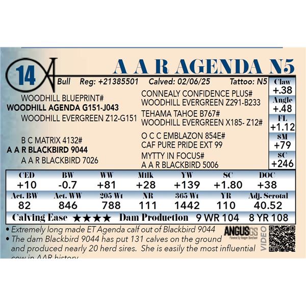 A A R Agenda N5