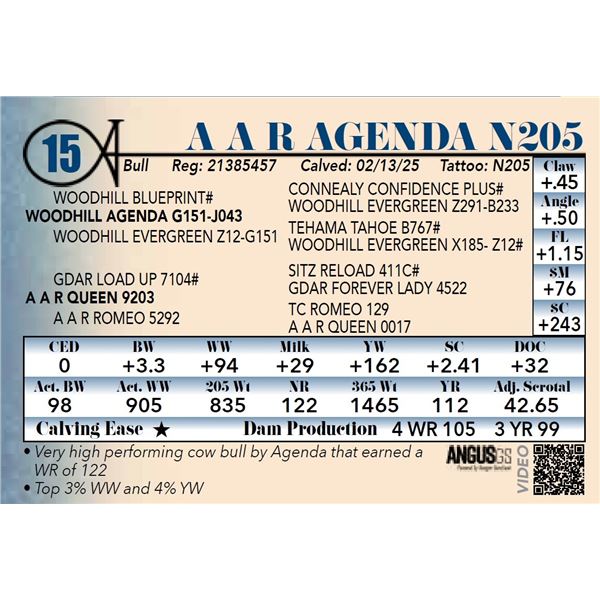 A A R Agenda N205