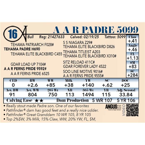 A A R Padre 5099