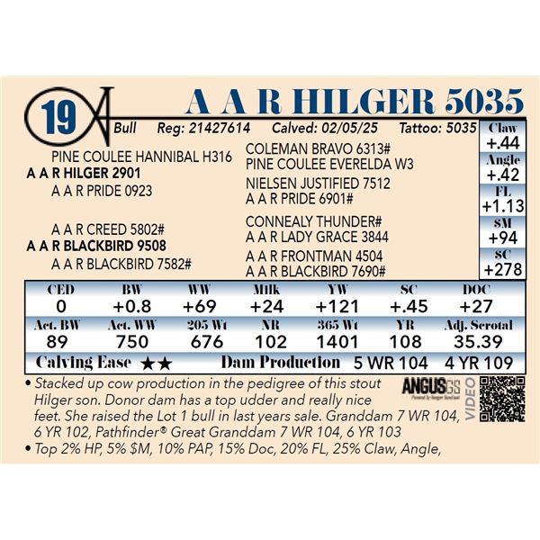A A R Hilger 5035