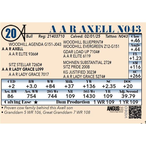 A A R Axell N043